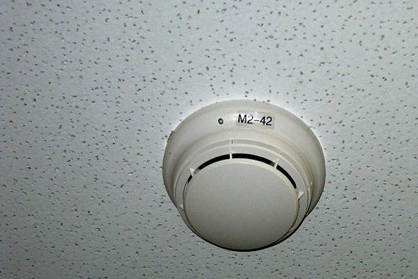 ���F�����lչ�v�̽�B