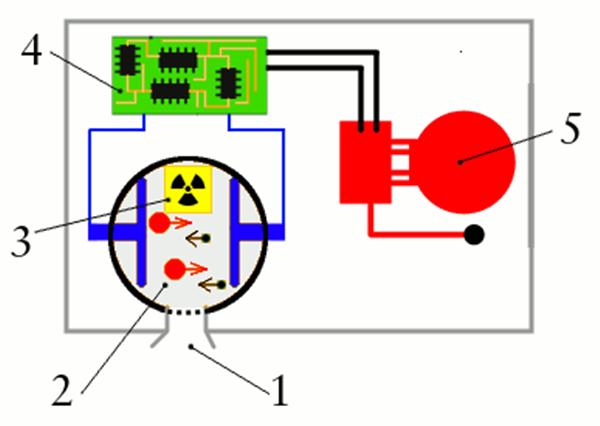 ���F�����lչ�v�̽�B