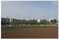 �����ИI(y��)����ͨ�\(y��n)��