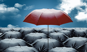 ����SP�I(y��)��(w��)